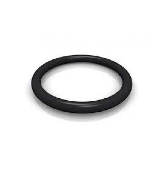 Osella O-ring 17465900060