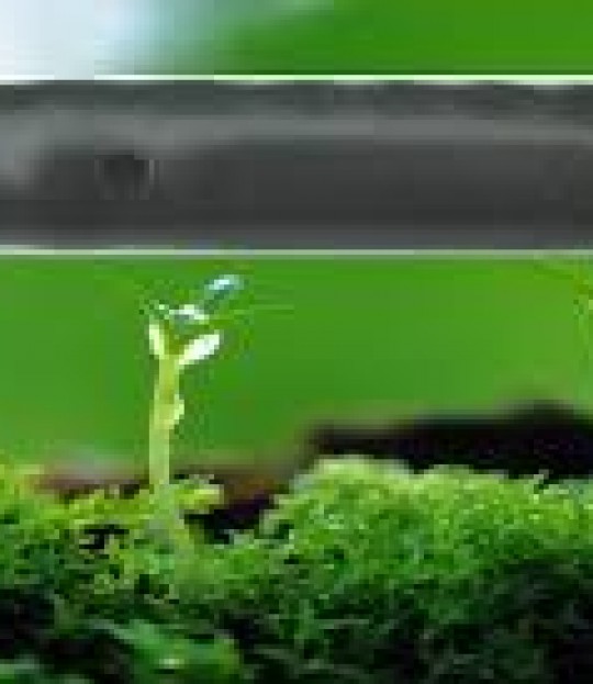 Dryppslange NaanDanJet GardenDrip 16mm 2,2 l/t, 0,5m, 100m