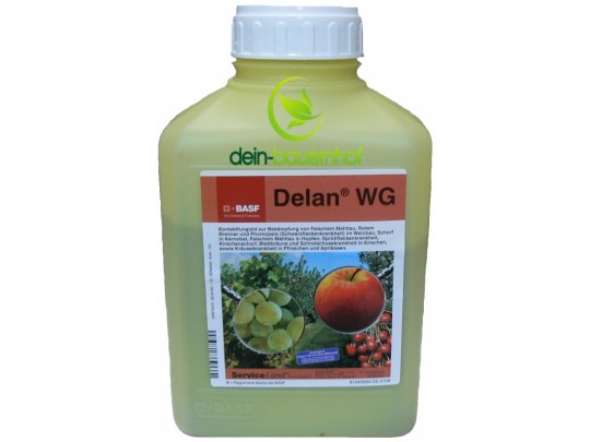Delan WG - 1 kg