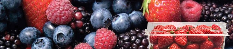 banner-berries[1]