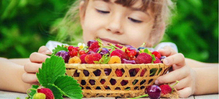 child-is-picking-cherries-garden-selective-focus_7